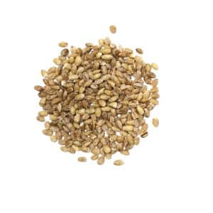 ORGANIC HULL BARSLEY 22.7KG CASE