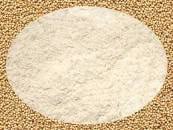 ORGANIC AMARANTH FLOUR 20 KG CASE