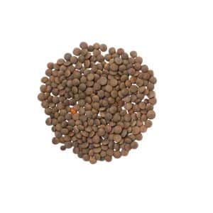 ORGANIC BROWN LENTILS CASE