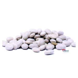 NORTHERN WHITE BEANS CASE