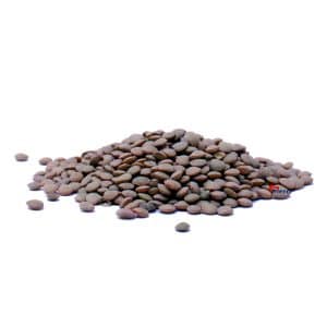 GREEN LENTILS EASTEN CASE