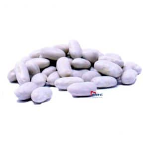 CASE WHITE KIDNEY BEANS