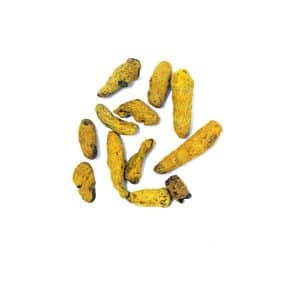TURMERIC ROOT CASE