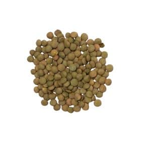 GREEN LAIRD LENTILS CASE