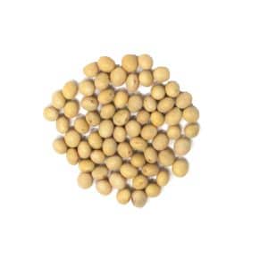 ORGANIC SOYBEANS CASE